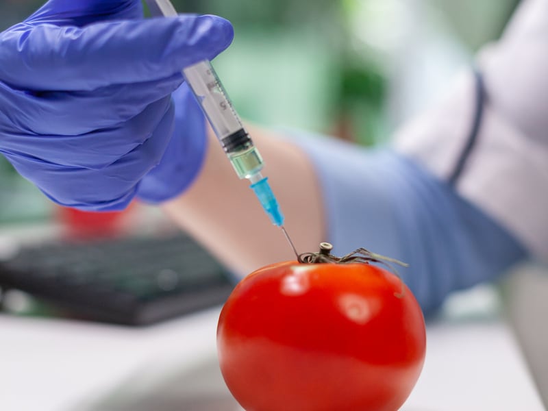 Food Technology
